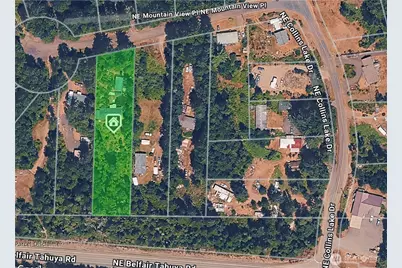 111 NE Mountain View Place, Tahuya, WA 98588 - Photo 4