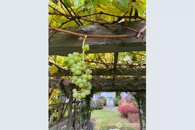 784 Windrose Drive, Coupeville, WA 98239 - Photo 36