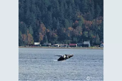 3151 Shoreline Drive, Camano Island, WA 98282 - Photo 32