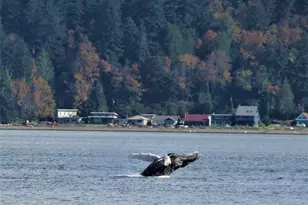 3151 Shoreline Dr, Camano Island, WA 98282 - Photo 32