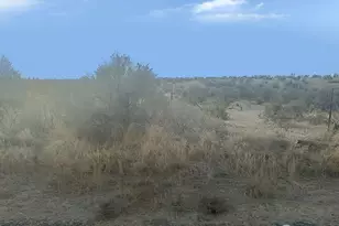 9973 SE Road S, Warden, WA 98857 - Photo 6