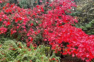 23 Fairbreeze, Port Townsend, WA 98368 - Photo 26