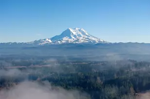 36427 2nd Ave E, Roy, WA 98580 - Photo 40