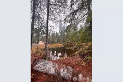 0 Tract 15 Dewatto Hills Road, Belfair, WA 98528 - Photo 12