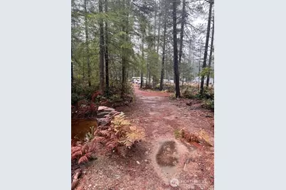 0 Tract 15 Dewatto Hills Road, Belfair, WA 98528 - Photo 16