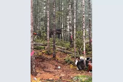 0 Tract 15 Dewatto Hills Road, Belfair, WA 98528 - Photo 6