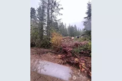 0 Tract 15 Dewatto Hills Road, Belfair, WA 98528 - Photo 10