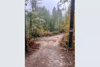 0 Tract 15 Dewatto Hills Road, Belfair, WA 98528 - Photo 1