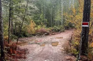 0 Tract 15 Dewatto Hills Rd, Belfair, WA 98528 - Photo 1