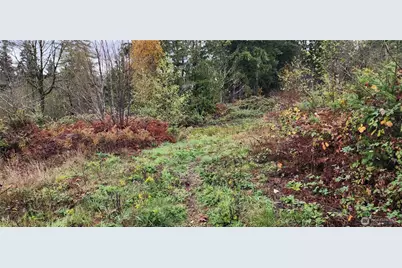 0 E Twanoh Heights Road, Belfair, WA 98528 - Photo 12