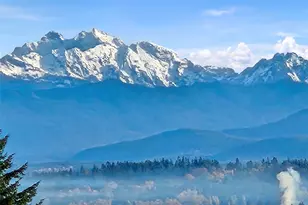 8421 Cascadia Ave, Everett, WA 98208 - Photo 16