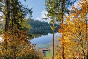 40424 Ski Park Rd E, Eatonville, WA 98328 - Photo 14