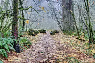 8 Shetland Ct, Bellingham, WA 98229 - Photo 36