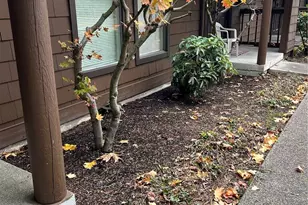 15344 62nd Ave S, Tukwila, WA 98188 - Photo 4