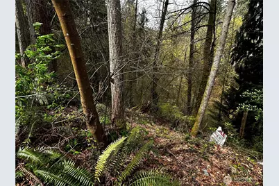 0 Adjacent To Baldwin Rd, Bothell, WA 98012 - Photo 4