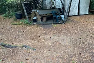 351 N Potlatch Dr, Hoodsport, WA 98548 - Photo 14