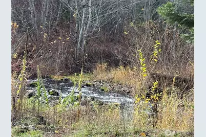 111 Tamarack Lane, Dayton, WA 99328 - Photo 4