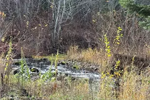 111 Tamarack Ln, Dayton, WA 99328 - Photo 4