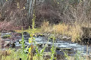 111 Tamarack Ln, Dayton, WA 99328 - Photo 6