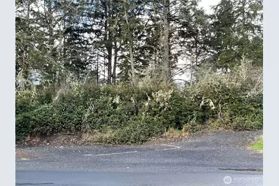 653 Sunset Avenue NE, Ocean Shores, WA 98569 - Photo 4