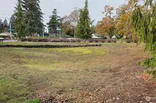 8113 Custer Rd SW, Lakewood, WA 98499 - Photo 4