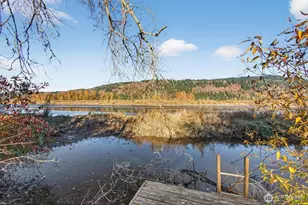 357 E Birnie Slough Rd, Cathlamet, WA 98612 - Photo 30