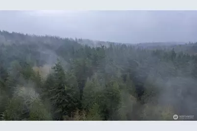 2533 Island View Lane, Lummi Island, WA 98262 - Photo 26