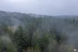 2533 Island View Ln, Lummi Island, WA 98262 - Photo 26