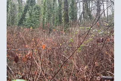 888 S 158th Street, Tukwila, WA 98188 - Photo 4