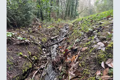 888 S 158th Street, Tukwila, WA 98188 - Photo 2