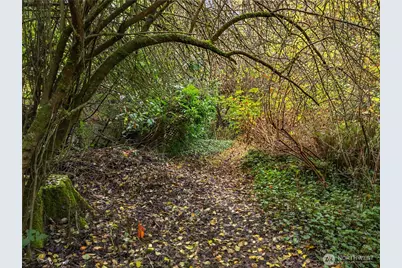 9674 Olympus Beach Road, Bainbridge Island, WA 98110 - Photo 16