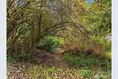 9674 Olympus Beach Road, Bainbridge Island, WA 98110 - Photo 8