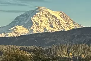 507 Cope St SW, Orting, WA 98360 - Photo 40