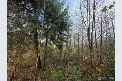 388 Xx 191st Avenue SE, Auburn, WA 98092 - Photo 6