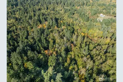 1 Yoman Rd, Anderson Island, WA 98303 - Photo 6