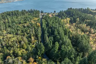 1 Yoman Rd, Anderson Island, WA 98303 - Photo 1