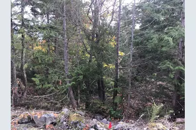 11939 New Morning Drive, Anacortes, WA 98221 - Photo 18