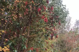 11939 New Morning Dr, Anacortes, WA 98221 - Photo 18