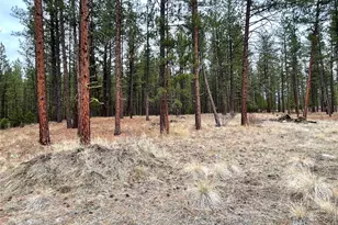 27 Gooseberry Way, Tonasket, WA 98855 - Photo 18