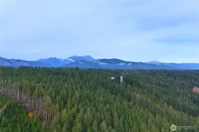 161 N Harvey Terrace Drive, Shelton, WA 98584 - Photo 38