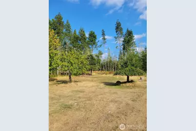 16314 160th Street NW, Gig Harbor, WA 98329 - Photo 4