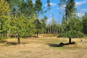 16314 160th St NW, Gig Harbor, WA 98329 - Photo 4