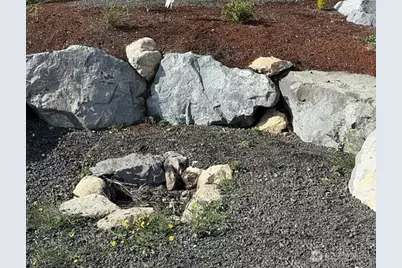 361 NE Southridge Drive, Belfair, WA 98528 - Photo 24