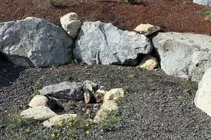 361 NE Southridge Dr, Belfair, WA 98528 - Photo 24