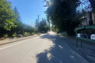 161 108th Ave SE, Bellevue, WA 98004 - Photo 2