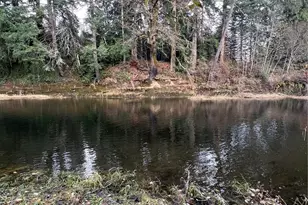 4149 State Route 6, Chehalis, WA 98532 - Photo 34