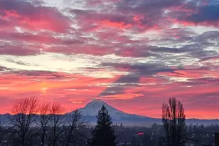 2307 S I St, Tacoma, WA 98405 - Photo 36