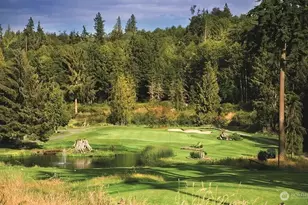 31 McCartney Peak Ln, Port Ludlow, WA 98365 - Photo 10