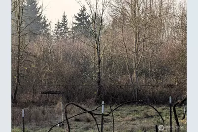 11214 34th Avenue E, Tacoma, WA 98446 - Photo 38