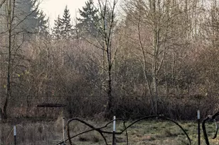 11214 34th Ave E, Tacoma, WA 98446 - Photo 38